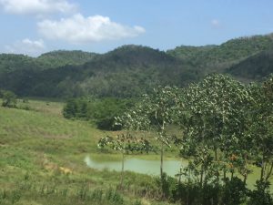 Unity Valley Pen, St. Ann's Parish Jamaica