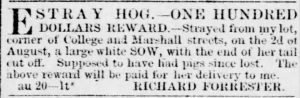 Richmond Dispatch 1864